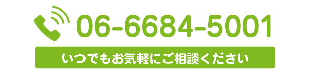 06-6684-5001